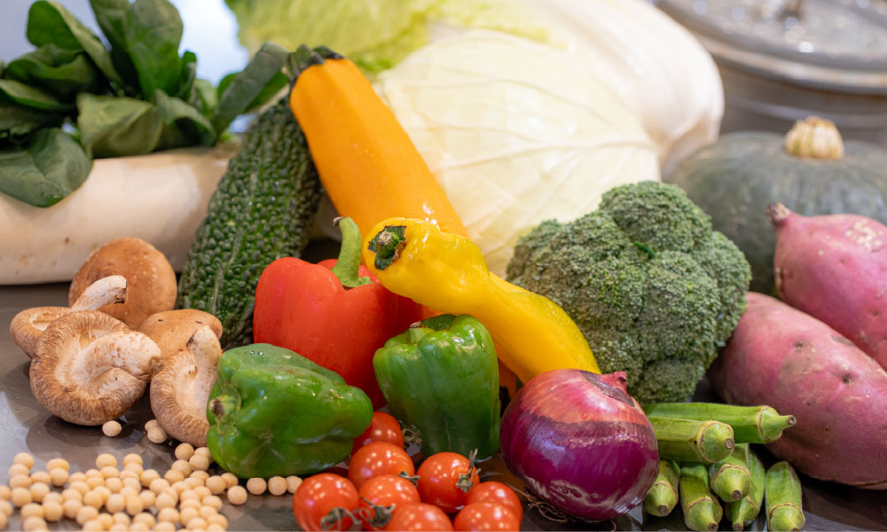 毎日食べても食べ飽きしない。豊富な味付けとバリエーション 管理栄養士の健康弁当 daily dish (デイリーディッシュ)